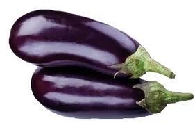 Fresh Brinjal