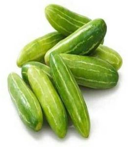 Fresh Natural Cucumber