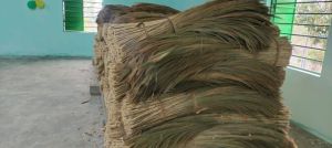 Broom Grass