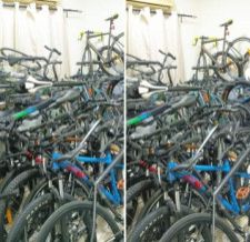 Imported Bicycles