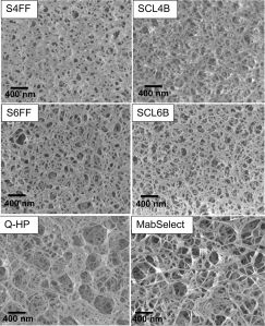 Agarose Particles(CD BIOPARTICLES)