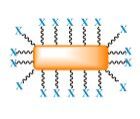 Gold Nanorods CD BIOPARTICLES