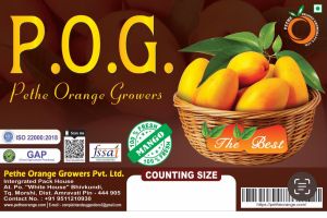 Fresh Mango