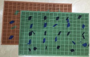 Coloured Rubber Door Mats