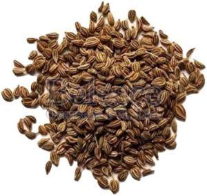 Ajwain Seeds