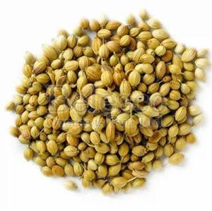 Coriander Seeds