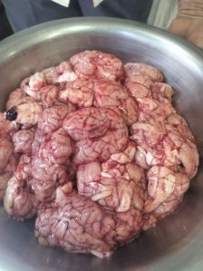 Mutton Brain