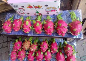 Dragon fruit