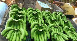 Fresh Banana Fruit