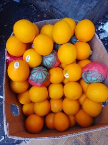 Valancia orange fruit