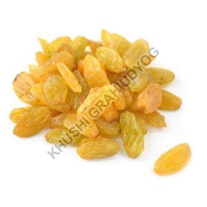 Yellow Raisins