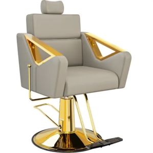 Salon Hydraulic Chair