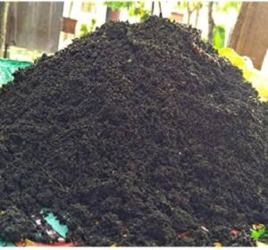 vermicompost