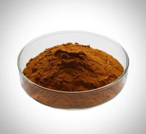 Pumpkin Seeds Extract Powder