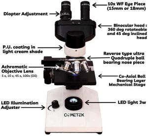 Binocular Microscope