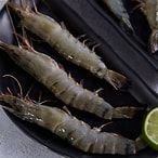 Frozen Black Tiger Shrimp