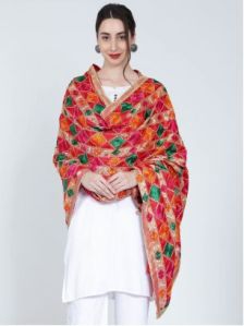 Traditional Phulkari Embroidery Bagh Dupatta