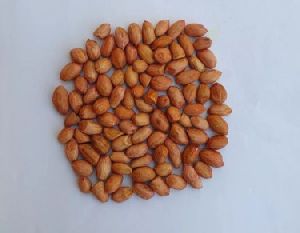 Natural Peanut Seed
