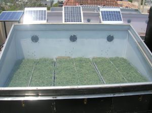 Cabinet Solar Dryers