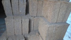 coco peat