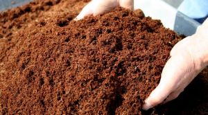 Coir Compost Fertilizers