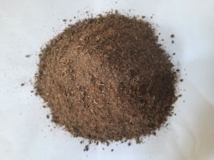 Cow Dung Powder