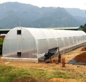 Greenhouse Solar Dryer