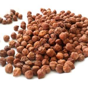 Black Chickpeas