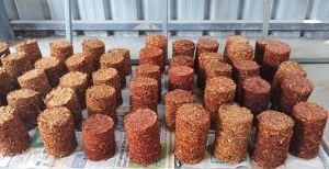 Biomass Briquettes