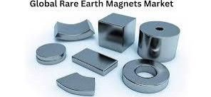 Rare Earth Magnet