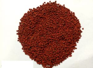 Annatto Seeds