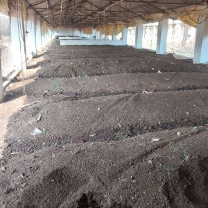 vermicompost