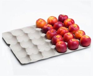 Fruit And Vegetable Pulp Packaging Tray