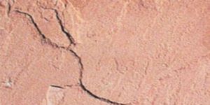 Dholpur Pink Sandstone