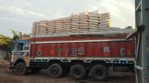 Sodium Bentonite Powder