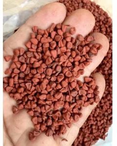 Annatto Seeds