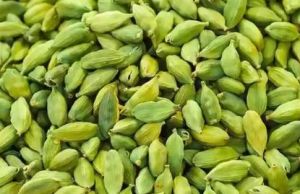 Green Cardamom