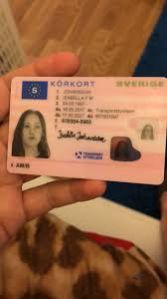 Swedish Driving License