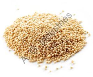 Amaranth Oil