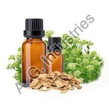 Angelica Root Essential Oil