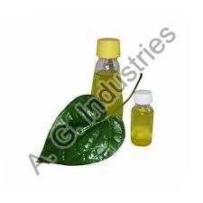 betel leaf essential oil