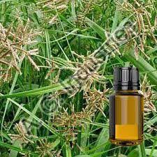 cypriol essential oil