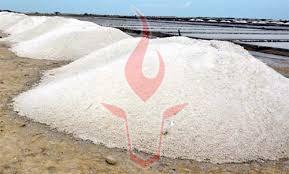 Raw Salt