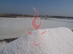 Raw Salt