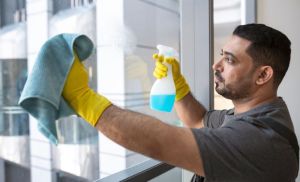 Windows Cleaning Service