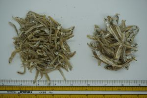 Dried Anchovies