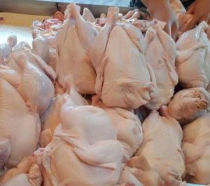 Frozen Chicken