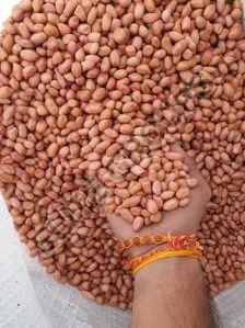 40/50 Groundnut Seeds