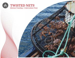 aquaculture fishing trawler net