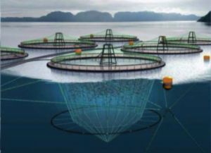 aquaculture fishing trawler net